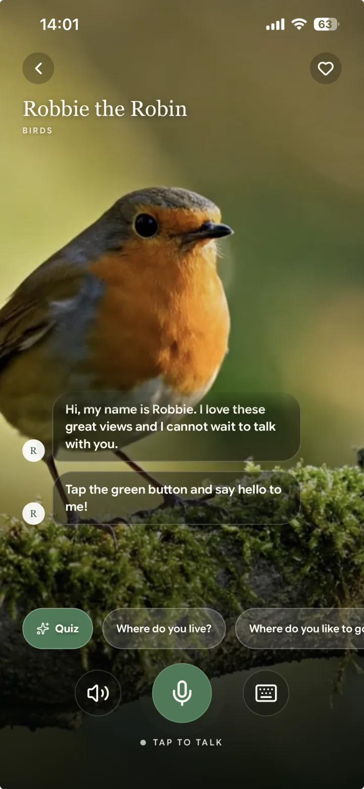 Chatting with Robbie the Robin in the Naturely app